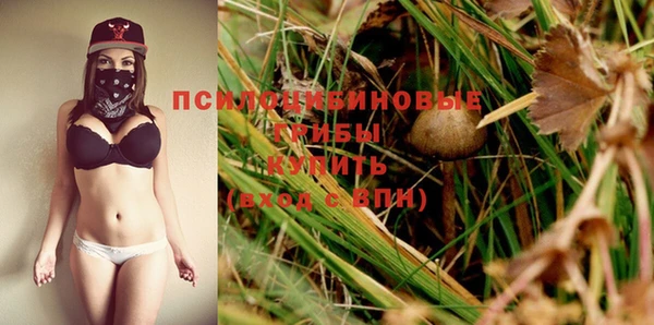 трава Заволжск