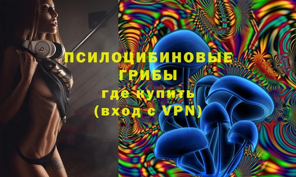 гидропоника Заводоуковск