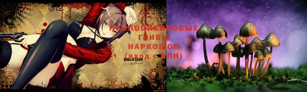 гидропоника Заводоуковск