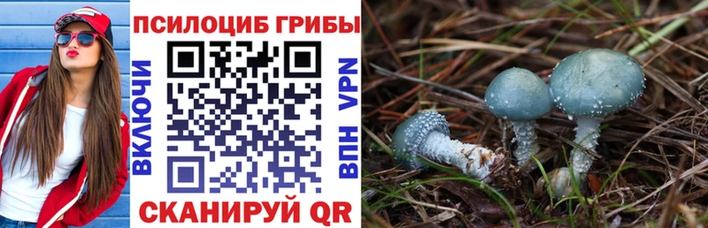 Псилоцибиновые грибы мухоморы  Купить  Мышкин 